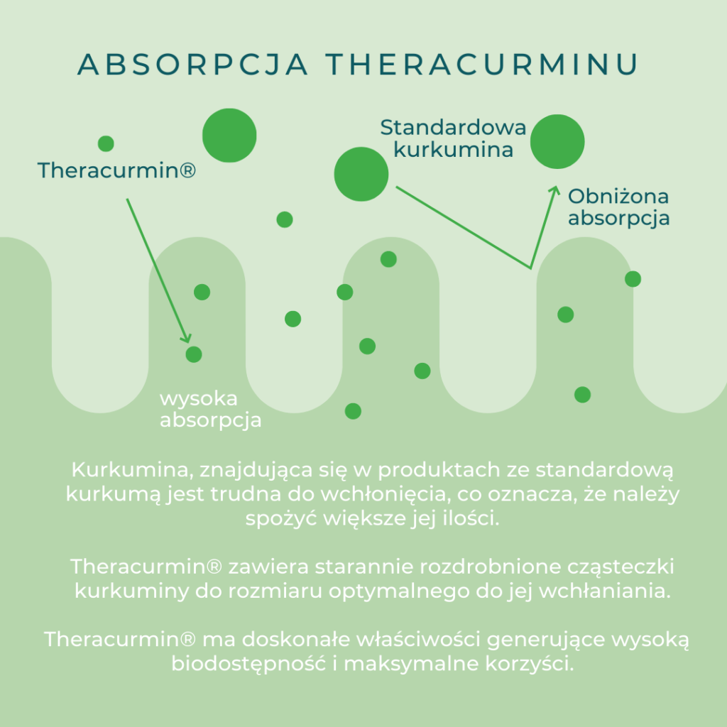 absorpcja-curcumin+ kurkumina-boswellia-vitallabs2