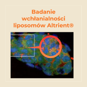 Read more about the article Badanie wchłanialności liposomów Altrient®